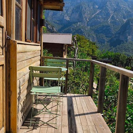 Hotel Olive Garden Kabak Faralya Exteriér fotografie