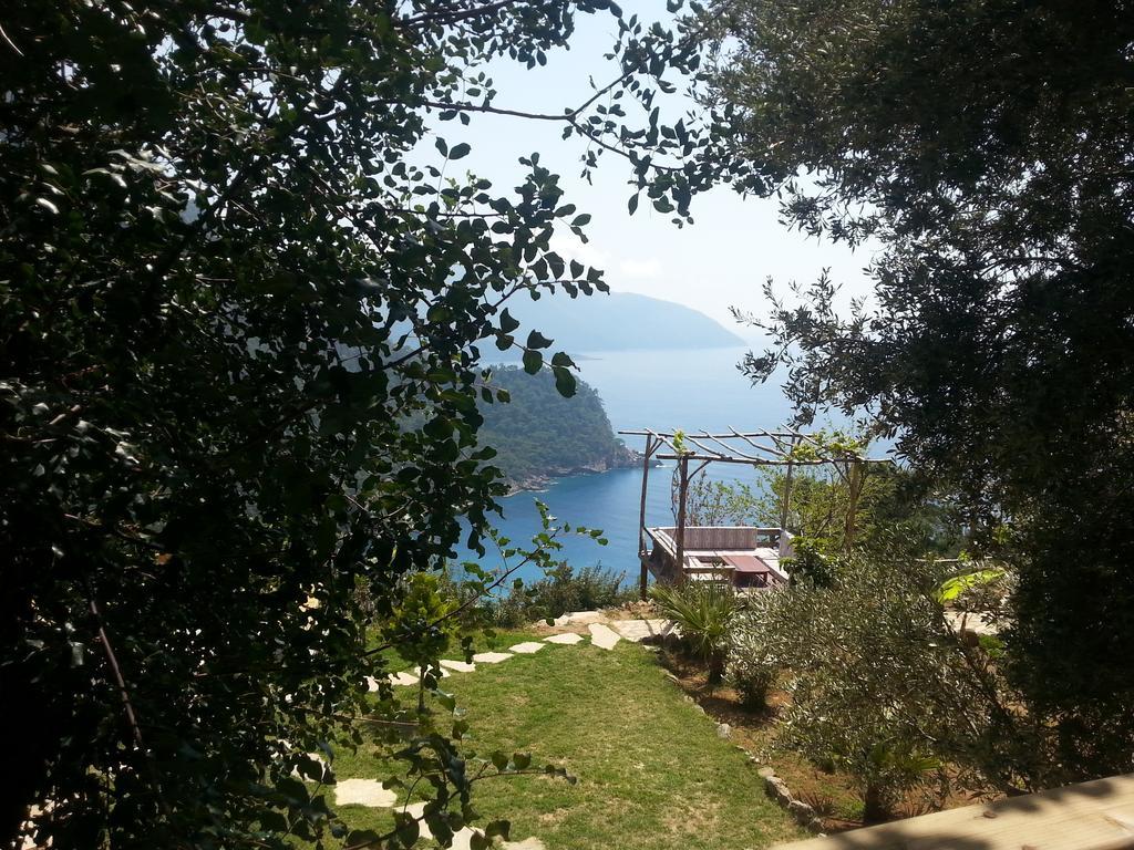 Hotel Olive Garden Kabak Faralya Exteriér fotografie