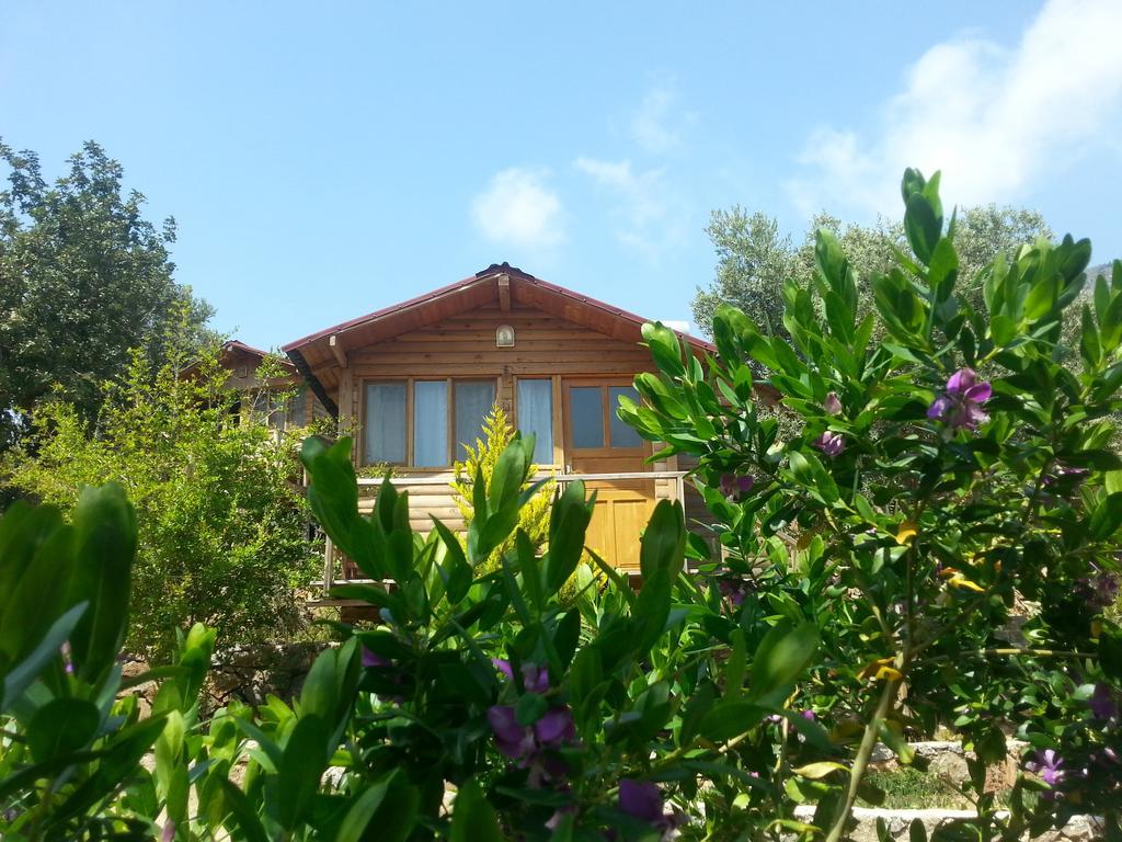 Hotel Olive Garden Kabak Faralya Exteriér fotografie