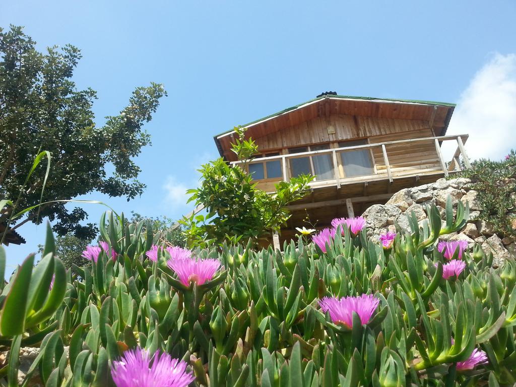 Hotel Olive Garden Kabak Faralya Exteriér fotografie