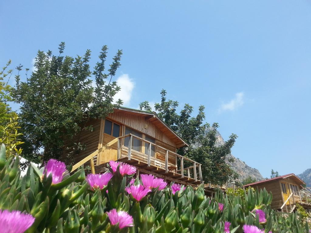 Hotel Olive Garden Kabak Faralya Exteriér fotografie