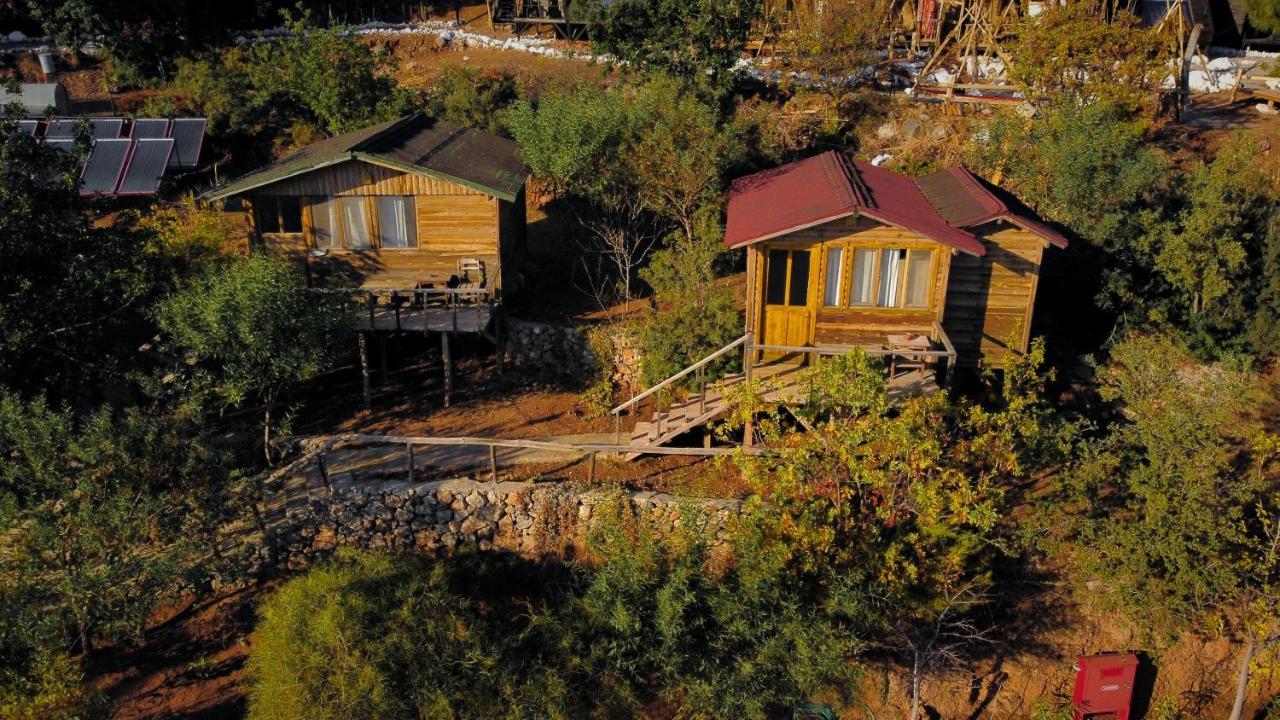 Hotel Olive Garden Kabak Faralya Exteriér fotografie