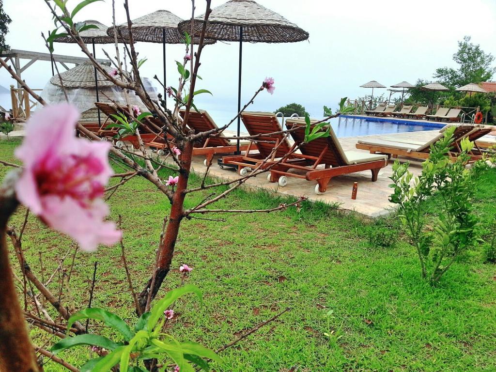 Hotel Olive Garden Kabak Faralya Exteriér fotografie