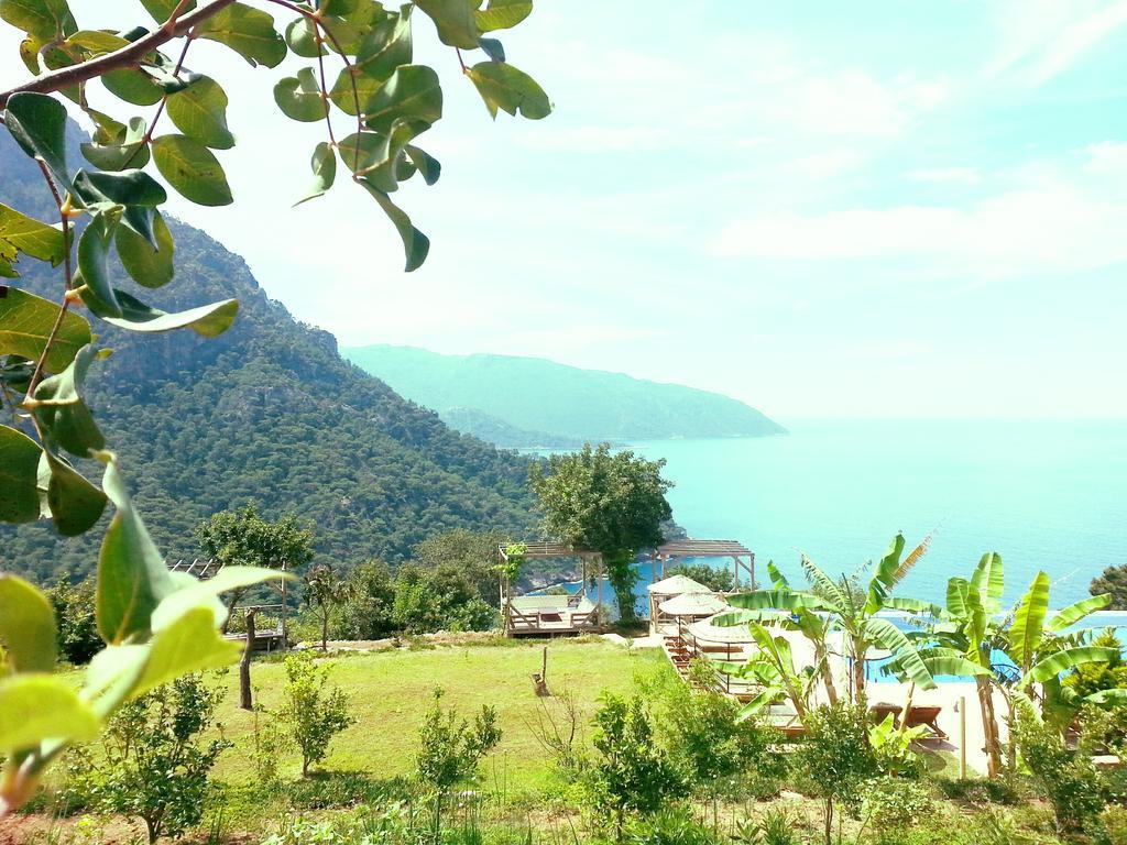 Hotel Olive Garden Kabak Faralya Exteriér fotografie