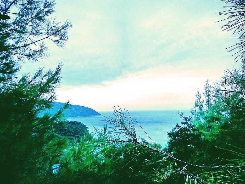 Hotel Olive Garden Kabak Faralya Exteriér fotografie