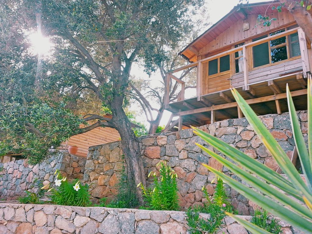 Hotel Olive Garden Kabak Faralya Exteriér fotografie