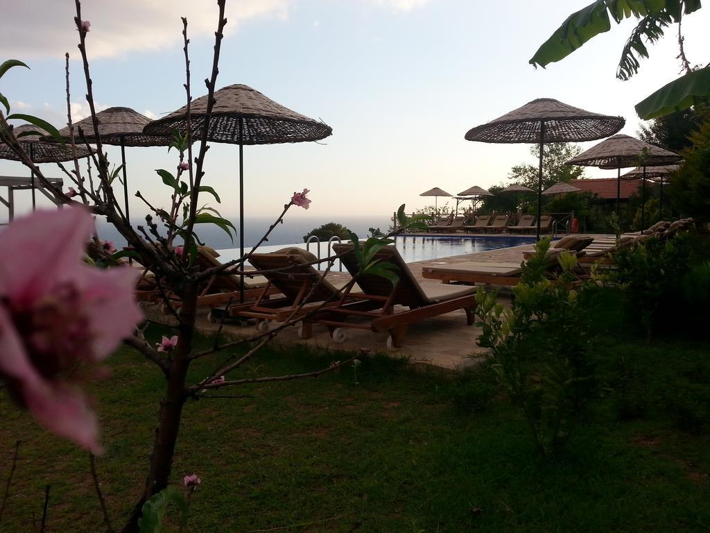 Hotel Olive Garden Kabak Faralya Exteriér fotografie
