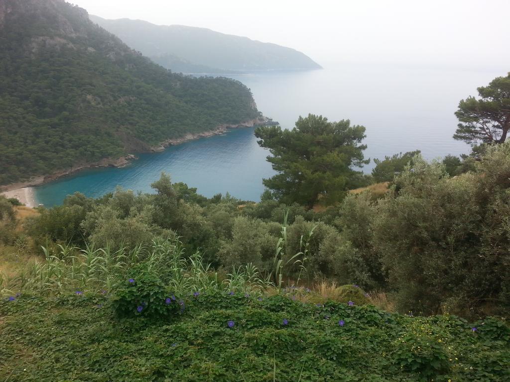 Hotel Olive Garden Kabak Faralya Exteriér fotografie