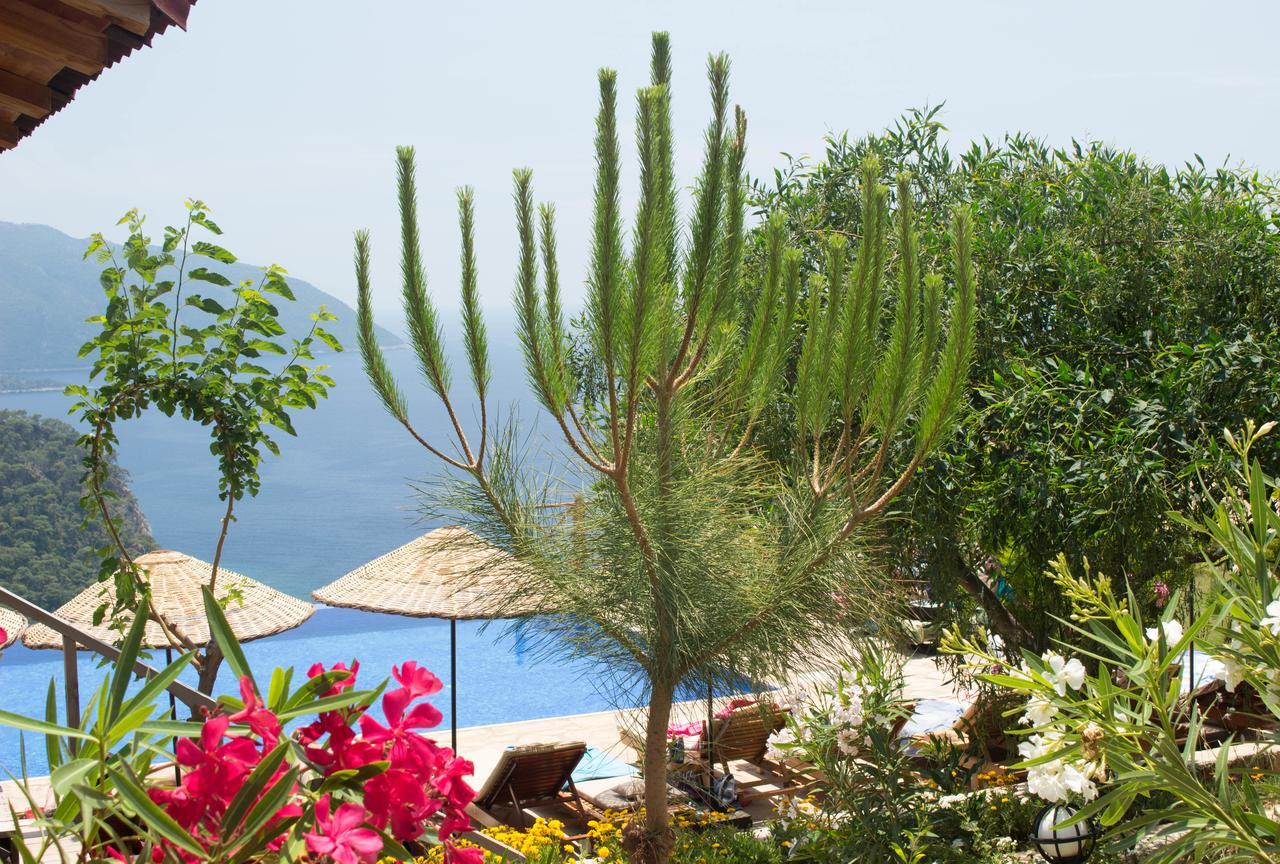 Hotel Olive Garden Kabak Faralya Exteriér fotografie