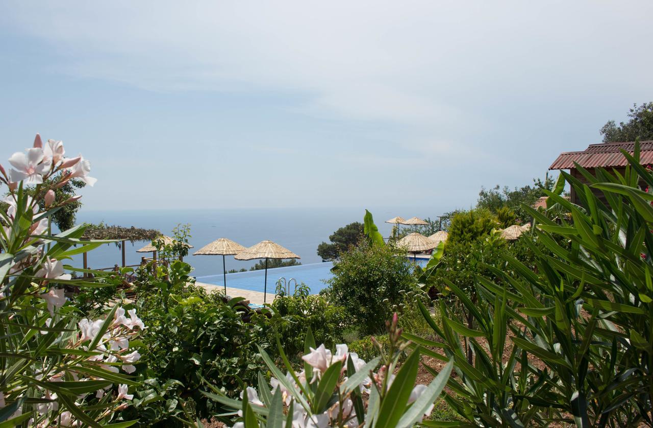 Hotel Olive Garden Kabak Faralya Exteriér fotografie
